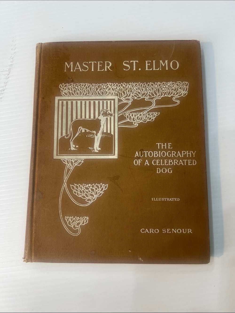 Master St. Elmo The Autobiography of a Celebrated Dog Vintage book lovers